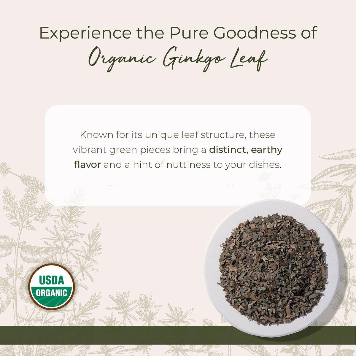 Starwest Botanicals Bio-Ginkgoblätter – Ginkgo Biloba, getrocknetes loses Kraut für Tee & Kräutermischungen, geschnitten & gesiebt, zertifiziert koscher, nicht gentechnisch verändert – 4 oz Beutel