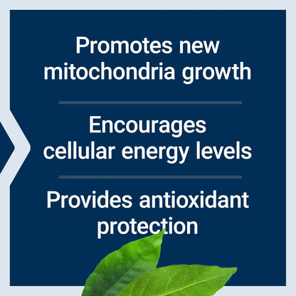 Life Extension PQQ Kapseln – Pyrrolochinolinchinon, 10 mg – Fördert das Wachstum neuer Mitochondrien, ATP, Energieunterstützung – Glutenfrei, Nicht-GVO, Vegetarisch – 60 Kapseln