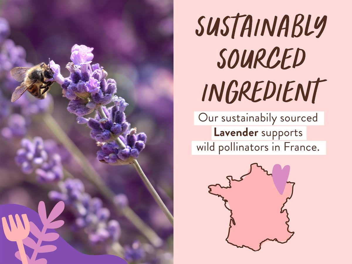 Babo Botanicals Beruhigendes Lavendel 2-in-1 Badeschaum & Duschgel - Entspannend mit Kamille & Lavendel - EWG-Verifiziert - Vegan - Für jedes Alter - Mit Lavendelöl Duft