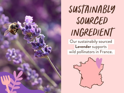 Babo Botanicals Beruhigendes Lavendel 2-in-1 Badeschaum & Duschgel - Entspannend mit Kamille & Lavendel - EWG-Verifiziert - Vegan - Für jedes Alter - Mit Lavendelöl Duft