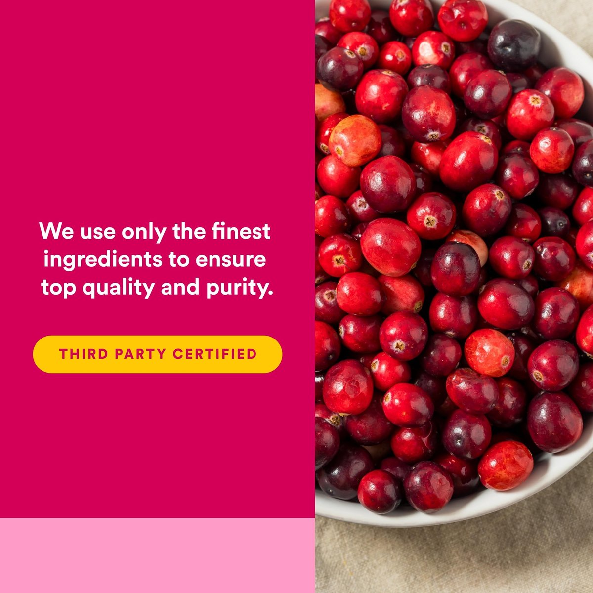 CranRich von Natural Factors – Hochkonzentrierter Cranberry-Extrakt für die Harnwegsunterstützung, Antioxidans, Non-GMO, 90 Kapseln