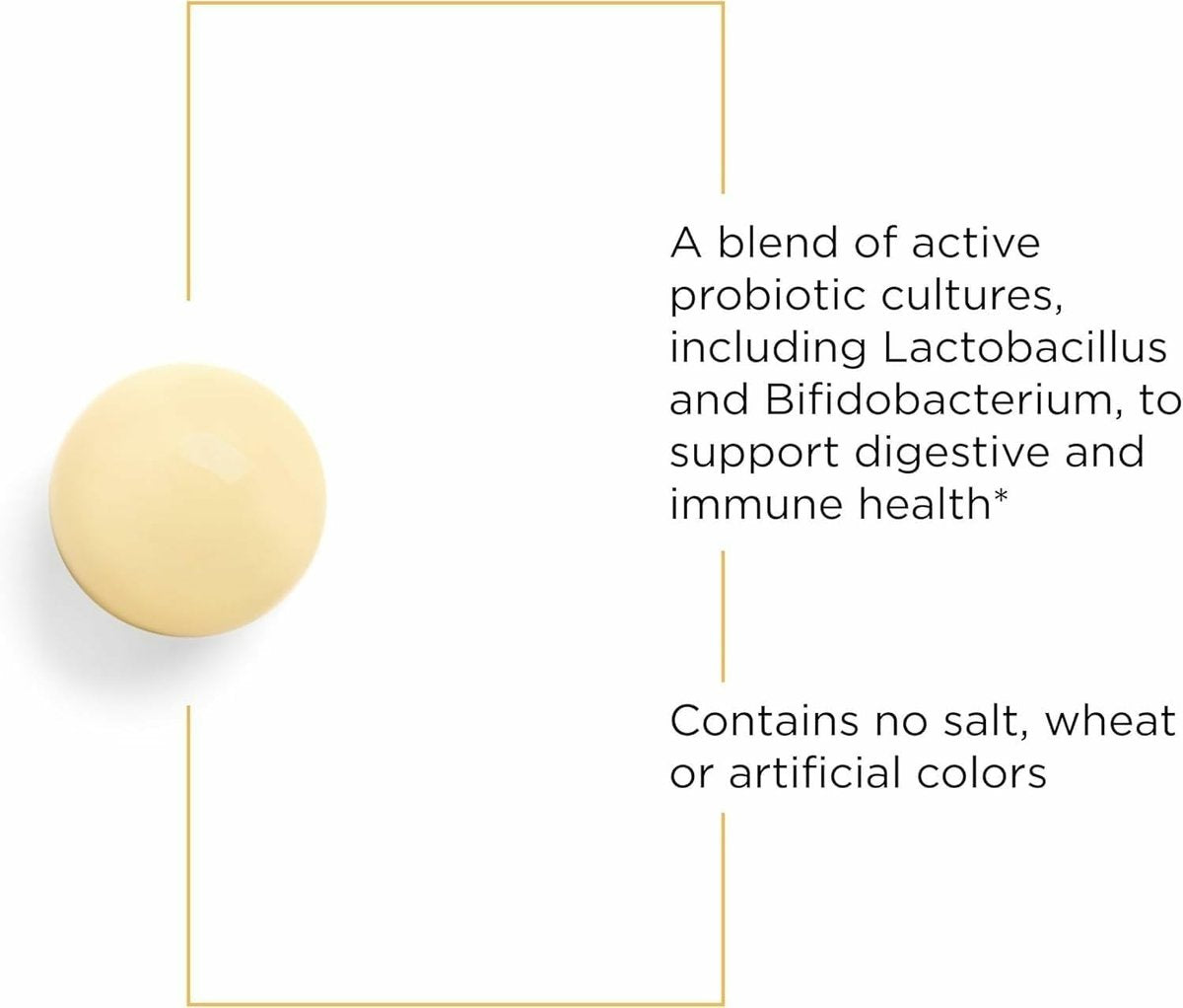 Integrative Therapeutics Probiotische Perlen – Tägliches Verdauungsergänzungsmittel zur Unterstützung der Darmgesundheit* – Probiotische Kapseln zur Unterstützung der Immunabwehr* – Sojafrei – 30 Stück (30 Portionen)