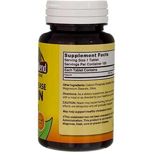 Nature's Blend Niacin Timed Release 250 mg – 100 Tabletten – Vitamin B3 zur Unterstützung des Energiestoffwechsels