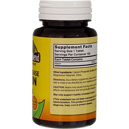 Nature's Blend Niacin Timed Release 250 mg – 100 Tabletten – Vitamin B3 zur Unterstützung des Energiestoffwechsels