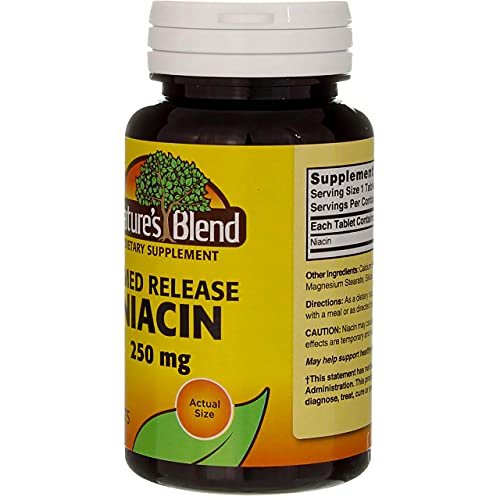 Nature's Blend Niacin Timed Release 250 mg – 100 Tabletten – Vitamin B3 zur Unterstützung des Energiestoffwechsels