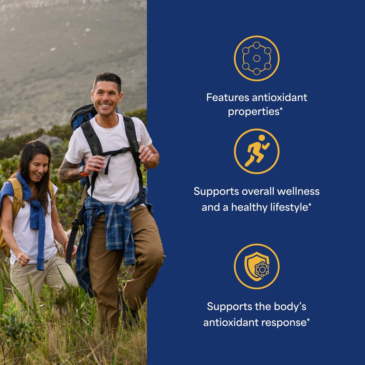 Puritan's Pride Kurkuma Curcumin 1.000 mg, standardisiert auf 95 % Curcuminoide, pflanzliches Nahrungsergänzungsmittel für antioxidative Gesundheit, 60 Kapseln