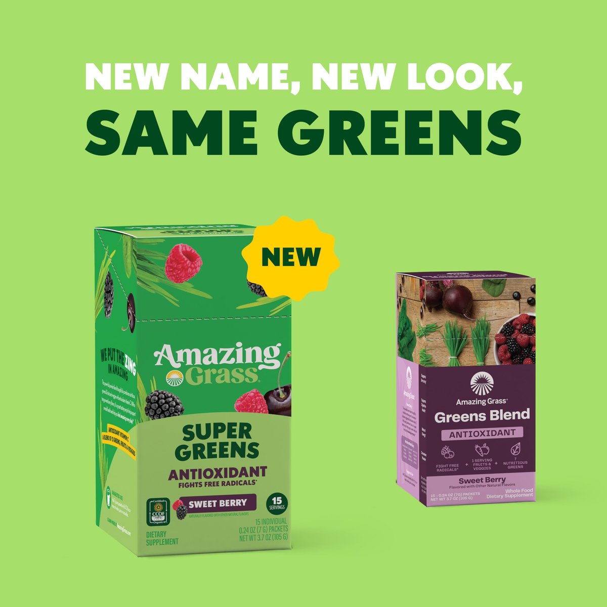Amazing Grass Super Greens Pulver Antioxidant Stick Packs - Grüne Mischung mit Spirulina, Rote Bete, Holunderbeere, Präbiotika & Probiotika, süße Beere, 15 Portionen, 3,7 Unzen