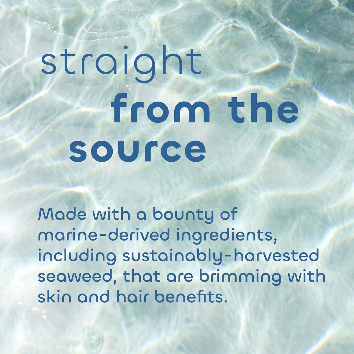 Seaweed Bath Co. Volumize Shampoo mit Lavendelduft, 355 ml – Nachhaltig geerntete Meeresalgen, Grünalgen, Gerstenprotein für normales bis feines Haar