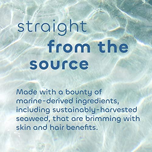 Seaweed Bath Co. Volumize Shampoo mit Lavendelduft, 355 ml – Nachhaltig geerntete Meeresalgen, Grünalgen, Gerstenprotein für normales bis feines Haar