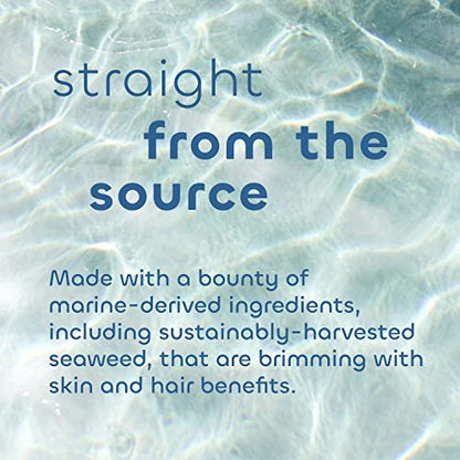 Seaweed Bath Co. Volumize Shampoo mit Lavendelduft, 355 ml – Nachhaltig geerntete Meeresalgen, Grünalgen, Gerstenprotein für normales bis feines Haar
