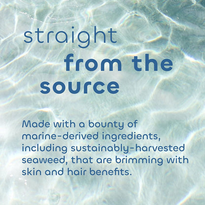 Seaweed Bath Co. Volumize Shampoo mit Lavendelduft, 355 ml – Nachhaltig geerntete Meeresalgen, Grünalgen, Gerstenprotein für normales bis feines Haar