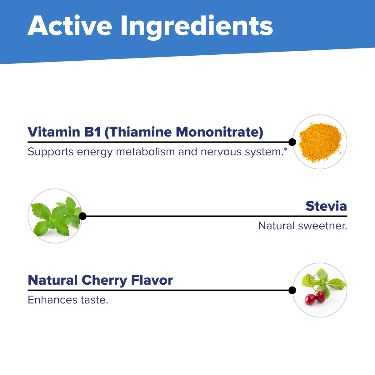 Superior Source B-1 100 mg – Vitamin-B-Supplement für gesunde Energie & Wachstum – Unterstützung für Nerven- und Verdauungssystem mit Thiamin – 100 sublinguale Schmelztabletten