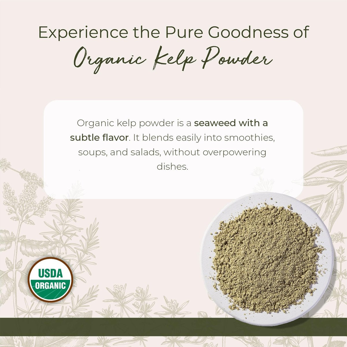 Starwest Botanicals Bio Algenpulver - Nährstoffreich, natürliche Jodquelle, Kalium, Magnesium, Zink, Eisen & Kalzium, zertifiziert koscher, nicht genetisch verändert - 454 g Beutel