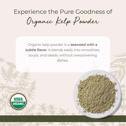 Starwest Botanicals Bio Algenpulver - Nährstoffreich, natürliche Jodquelle, Kalium, Magnesium, Zink, Eisen & Kalzium, zertifiziert koscher, nicht genetisch verändert - 454 g Beutel