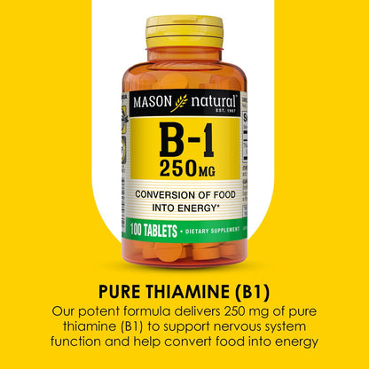 MASON NATURAL Vitamin B1 Thiamin 250 mg, 100 Kapseln, Nahrungsergänzungsmittel, Unterstützt Energieproduktion & gesunden Stoffwechsel