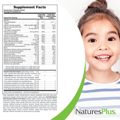 NaturesPlus Animal Parade Source of Life Gold Kinder Multivitamin zum Kauen - Mischung aus Kirsch-, Orangen- und Traubengeschmack - 60 Kautabletten - Vegetarisch, Glutenfrei - 30 Portionen