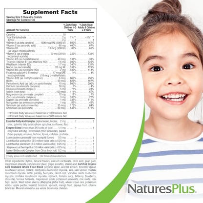 NaturesPlus Animal Parade Source of Life Gold Kinder Multivitamin zum Kauen - Mischung aus Kirsch-, Orangen- und Traubengeschmack - 60 Kautabletten - Vegetarisch, Glutenfrei - 30 Portionen