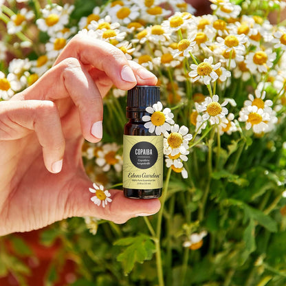 Edens Garden Copaiba Öl - 100% reines Premium-Öl, unverdünnt, natürlich, therapeutisch, für Diffuser, Haut, Gesicht, Haare 10 ml