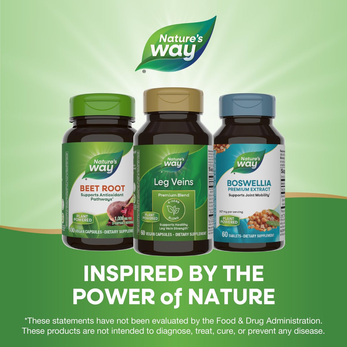 Nature's Way Venen der Beine – Unterstützt gesunde Beinvenenstärke* – 6-Kräutermischung mit Rosskastanienextrakt und Löwenzahn – Glutenfrei – 60 vegane Kapseln