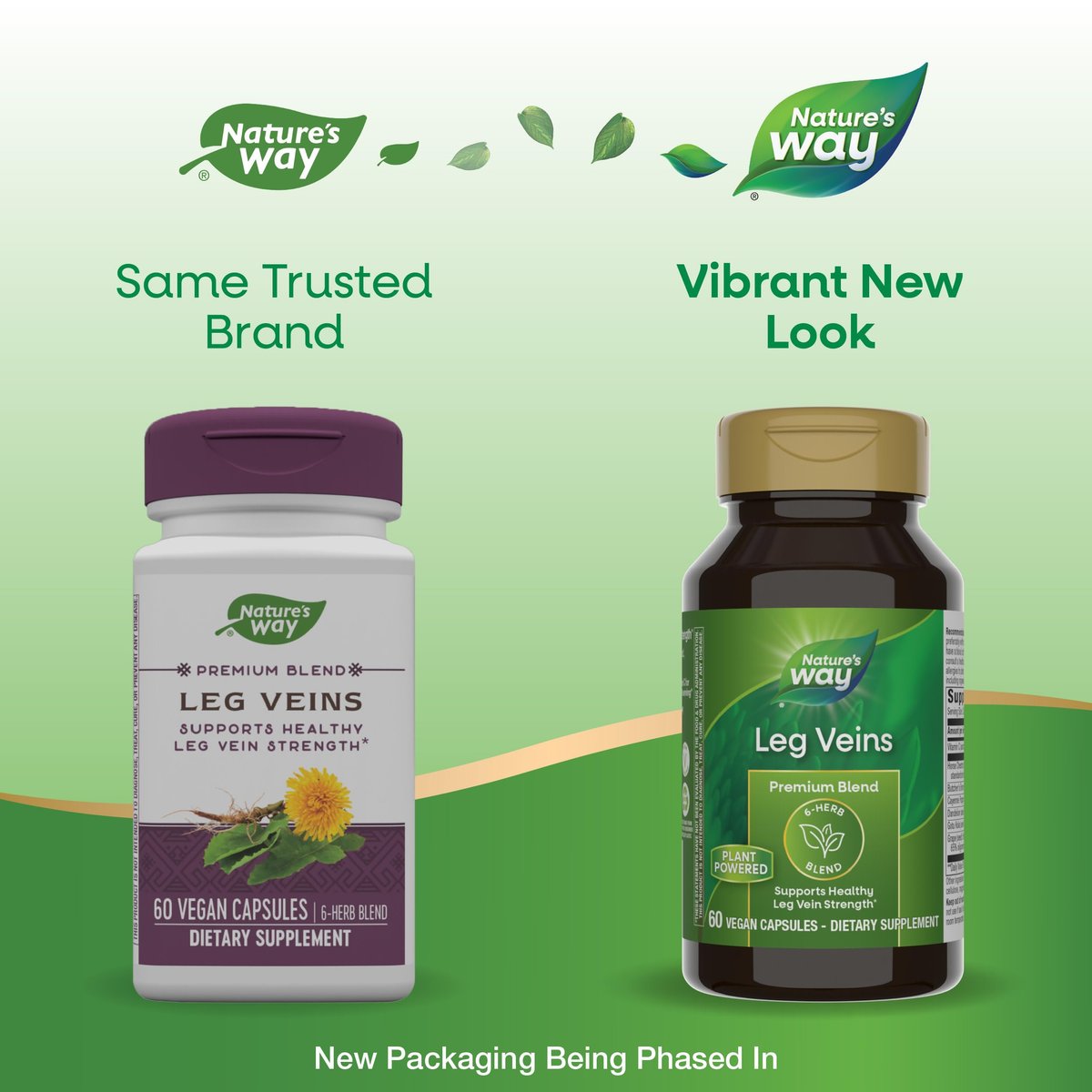Nature's Way Venen der Beine – Unterstützt gesunde Beinvenenstärke* – 6-Kräutermischung mit Rosskastanienextrakt und Löwenzahn – Glutenfrei – 60 vegane Kapseln