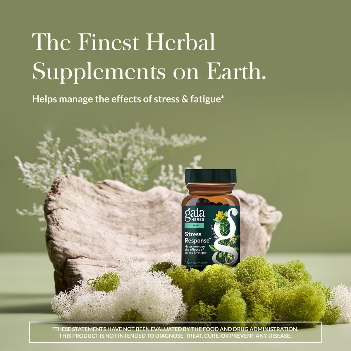 Gaia Herbs Stress Response – Nahrungsergänzung für Entspannung & gesunde Stressreaktion – mit Rhodiola, Heiligem Basilikum, Ashwagandha & mehr – 30 vegane Liquid Phyto-Caps (15 Portionen)