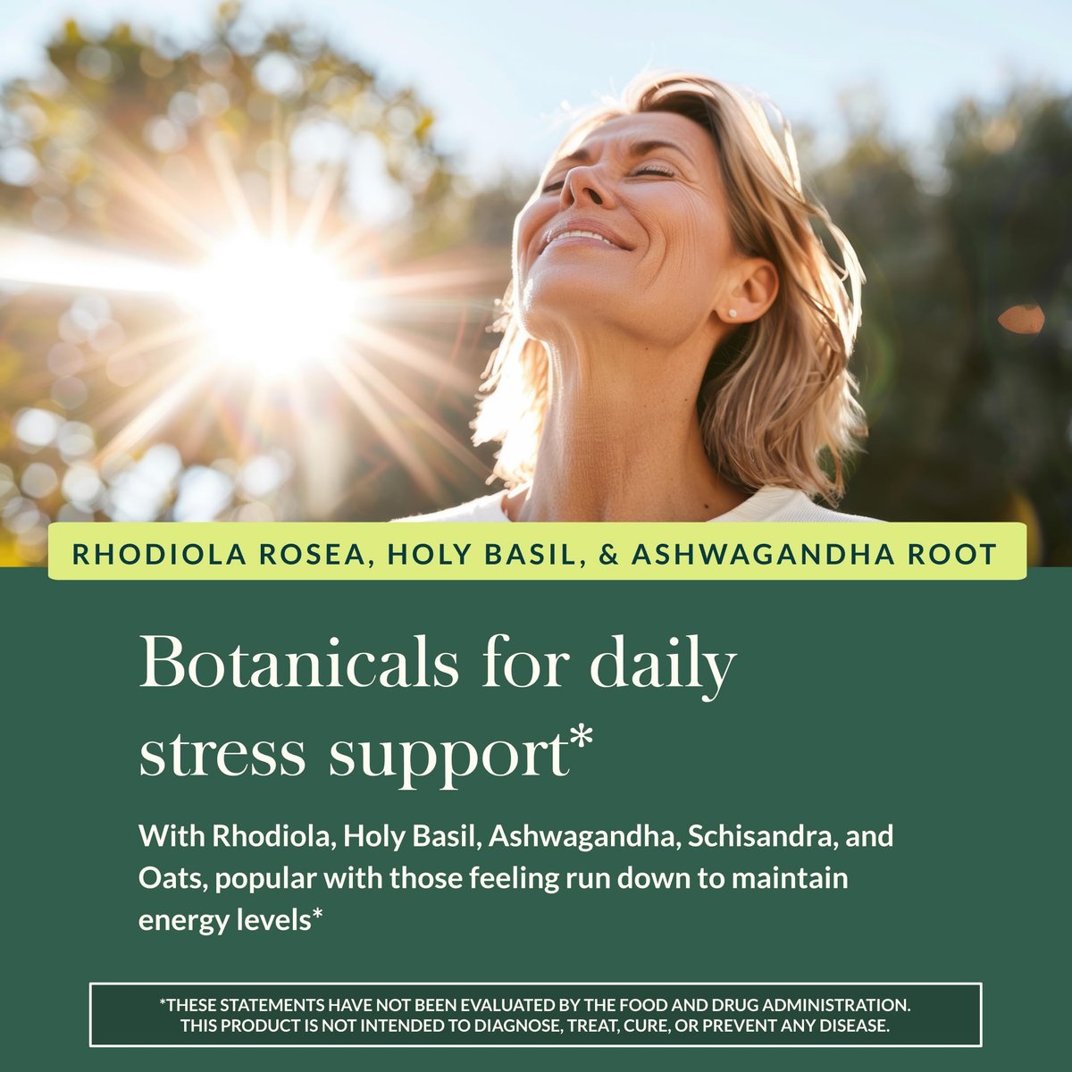 Gaia Herbs Stress Response – Nahrungsergänzung für Entspannung & gesunde Stressreaktion – mit Rhodiola, Heiligem Basilikum, Ashwagandha & mehr – 30 vegane Liquid Phyto-Caps (15 Portionen)