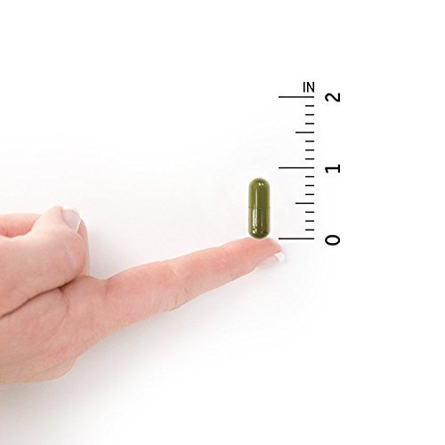 Garden of Life Vitamin D3 5000 IE – rohes Vollwertpräparat mit Chlorella, Früchten, Gemüse und Probiotika für Knochen- und Immununterstützung, 60 vegane Kapseln