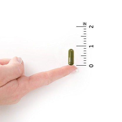 Garden of Life Vitamin D3 5000 IE – rohes Vollwertpräparat mit Chlorella, Früchten, Gemüse und Probiotika für Knochen- und Immununterstützung, 60 vegane Kapseln