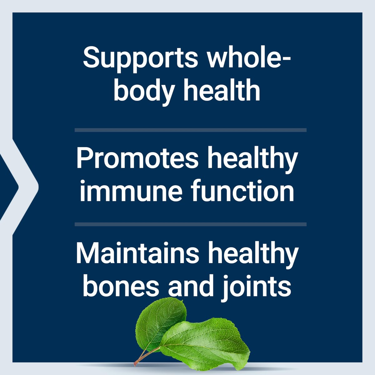 Life Extension Only Trace Minerals – Tägliche Dosis Zink, Chrom, Bor, Kupfer, Mangan, Vanadylsulfat – Glutenfrei, Nicht-GVO, Vegetarisch, 90 Kapseln