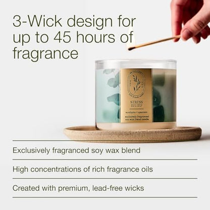 Bath & Body Works Eucalyptus Spearmint 3-Docht-Kerze – Duftkerze für Zuhause – Lang anhaltender, raumfüllender Duft – Hohe Duftölkonzentration – Sojawachsmischung