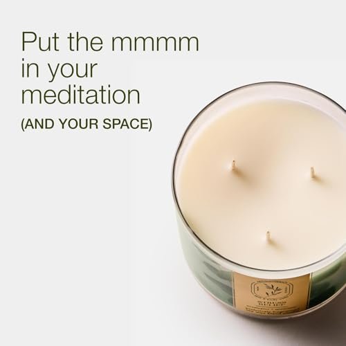 Bath & Body Works Eucalyptus Spearmint 3-Docht-Kerze – Duftkerze für Zuhause – Lang anhaltender, raumfüllender Duft – Hohe Duftölkonzentration – Sojawachsmischung