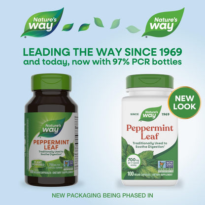 Nature's Way Pfefferminzblätter – Traditionell zur Unterstützung der Verdauung*, 700 mg pro 2-Kapsel-Portion, Pfefferminz-Ergänzung, Non-GMO Project verifiziert, 100 vegane Kapseln (Verpackung kann variieren)