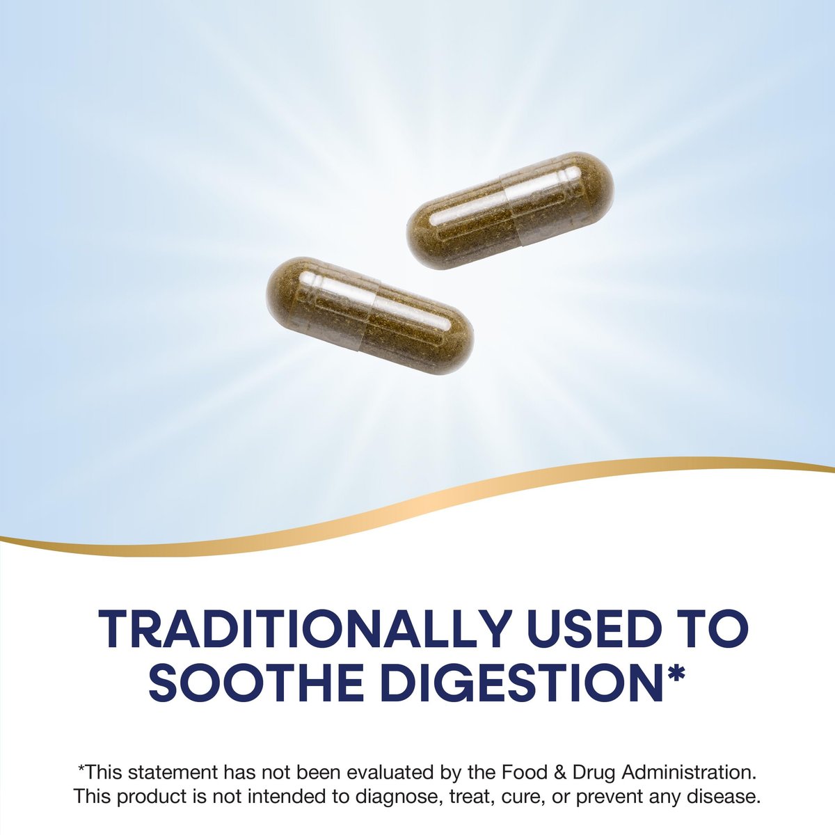 Nature's Way Pfefferminzblätter – Traditionell zur Unterstützung der Verdauung*, 700 mg pro 2-Kapsel-Portion, Pfefferminz-Ergänzung, Non-GMO Project verifiziert, 100 vegane Kapseln (Verpackung kann variieren)
