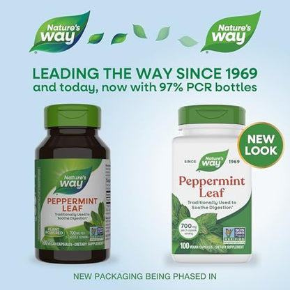 Nature's Way Pfefferminzblätter – Traditionell zur Unterstützung der Verdauung*, 700 mg pro 2-Kapsel-Portion, Pfefferminz-Ergänzung, Non-GMO Project verifiziert, 100 vegane Kapseln (Verpackung kann variieren)