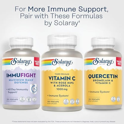 SOLARAY Vitamin C 1000mg mit Zeitfreisetzung - Kapseln mit Hagebutte und Acerola für Bioflavonoid-Unterstützung - Zweistufige, ganztägige Immununterstützung - Vegan, 60-Tage-Garantie