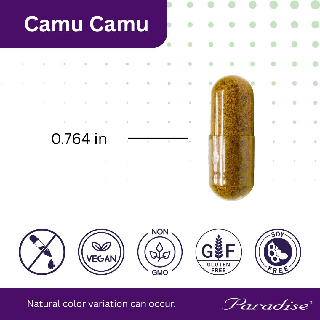 Paradise Herbs Zink-Komplex mit Picolinat und Vitamin C – 30 mg, 90 Kapseln – Hochpotent, vegan, glutenfrei – für Immunsystem & Abwehrkräfte