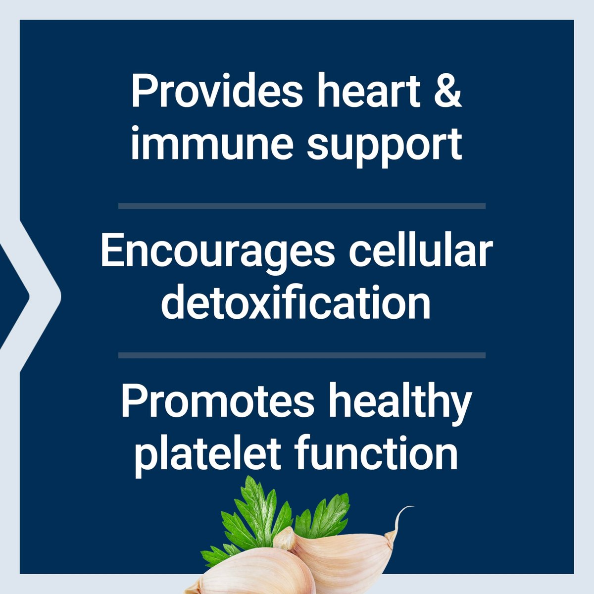 Life Extension Optimized Garlic – 200 Kapseln für Herzgesundheit, Immunsystem und Zellreinigung