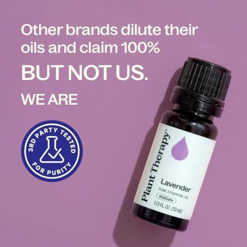 Plant Therapy Lavendel Ätherisches Öl 100% Rein, Unverdünnt, Therapeutische Qualität, Aromatherapie Diffuser für Entspannung und Körperpflege, Gesunde Haut und Haare, 10 ml (1/3 oz)