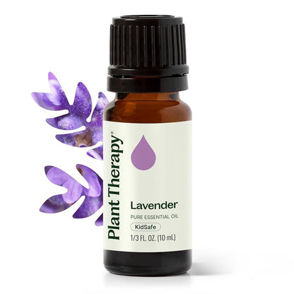 Plant Therapy Lavendel Ätherisches Öl 100% Rein, Unverdünnt, Therapeutische Qualität, Aromatherapie Diffuser für Entspannung und Körperpflege, Gesunde Haut und Haare, 10 ml (1/3 oz)