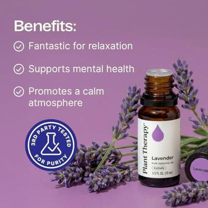 Plant Therapy Lavendel Ätherisches Öl 100% Rein, Unverdünnt, Therapeutische Qualität, Aromatherapie Diffuser für Entspannung und Körperpflege, Gesunde Haut und Haare, 10 ml (1/3 oz)