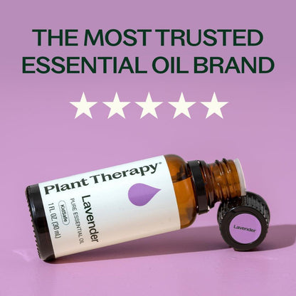 Plant Therapy Lavendel Ätherisches Öl 100% Rein, Unverdünnt, Therapeutische Qualität, Aromatherapie Diffuser für Entspannung und Körperpflege, Gesunde Haut und Haare, 10 ml (1/3 oz)