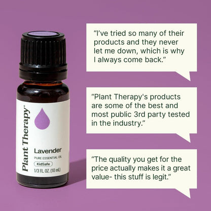 Plant Therapy Lavendel Ätherisches Öl 100% Rein, Unverdünnt, Therapeutische Qualität, Aromatherapie Diffuser für Entspannung und Körperpflege, Gesunde Haut und Haare, 10 ml (1/3 oz)