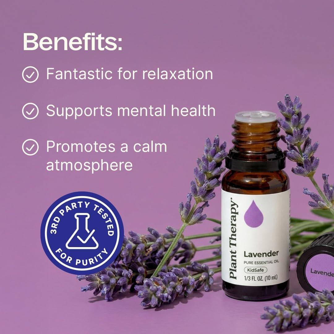 Plant Therapy Lavendel Ätherisches Öl 100% Rein, Unverdünnt, Therapeutische Qualität, Aromatherapie Diffuser für Entspannung und Körperpflege, Gesunde Haut und Haare, 10 ml (1/3 oz)