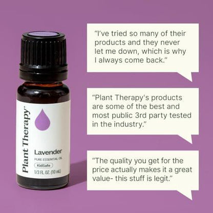 Plant Therapy Lavendel Ätherisches Öl 100% Rein, Unverdünnt, Therapeutische Qualität, Aromatherapie Diffuser für Entspannung und Körperpflege, Gesunde Haut und Haare, 10 ml (1/3 oz)