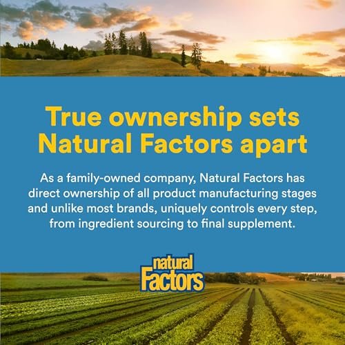 Natural Factors N-Acetyl-L-Cystein 500 mg – Unterstützt gesunde Leber & Lunge, Antioxidans & Immunsystem – 90 vegane Kapseln