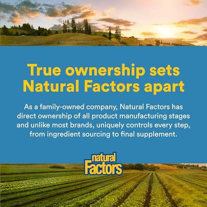 Natural Factors N-Acetyl-L-Cystein 500 mg – Unterstützt gesunde Leber & Lunge, Antioxidans & Immunsystem – 90 vegane Kapseln