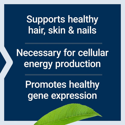 Life Extension Biotin 600 mcg – Vitamin B7 für schönes Haar, Nägel und mehr – 100 Kapseln, glutenfrei, nicht-GVO