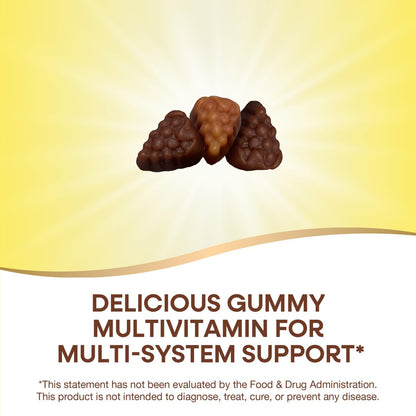 Nature's Way Alive! Erwachsene Premium Multivitamin Gummis, voller B-Vitamin-Komplex, unterstützt den Energiestoffwechsel und die Herzgesundheit*, Trauben- und Kirschgeschmack, 90 Gummis (Verpackung kann variieren)