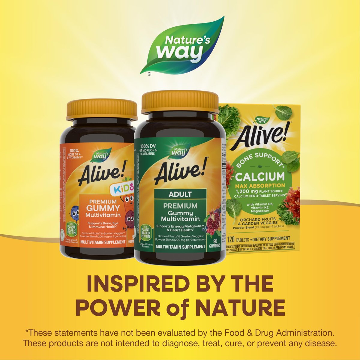 Nature's Way Alive! Erwachsene Premium Multivitamin Gummis, voller B-Vitamin-Komplex, unterstützt den Energiestoffwechsel und die Herzgesundheit*, Trauben- und Kirschgeschmack, 90 Gummis (Verpackung kann variieren)