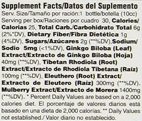 Prince Of Peace Ultra Ginkgo Plus – 30 Flaschen à 0,34 fl. oz. – Nahrungsergänzungsmittel für Gehirn und aktiven Lebensstil – Ginkgo Biloba für Ausdauer